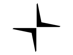 Logo פולסטאר