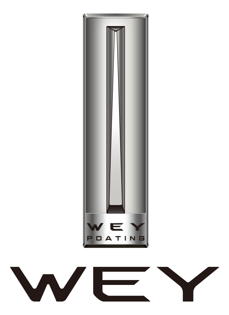 Logo ויי
