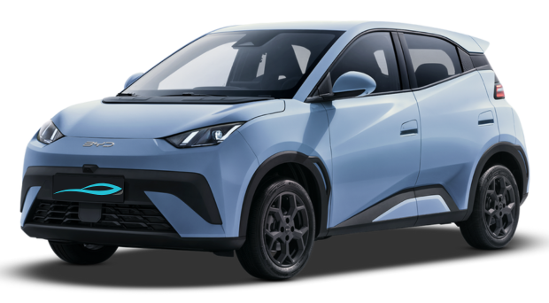 בי.ווי.די דולפין סרף