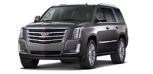 אסקלייד Sport 2 IQ חשמלי אוט׳ 7 מק 5 דל (750 כ״ס)